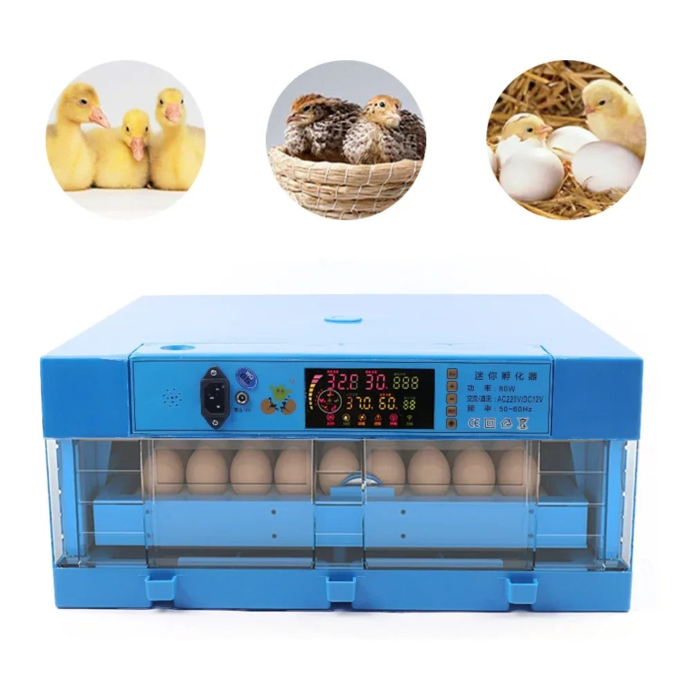 64 Egg Incubator With Automatic Turner And Digital Thermostat