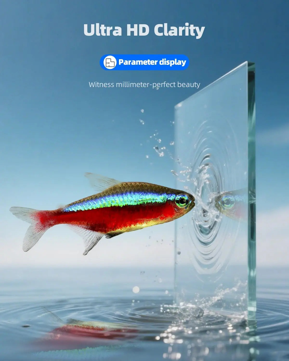Ultra Clear Rimless Aquarium For Betta And Shrimp Desktop