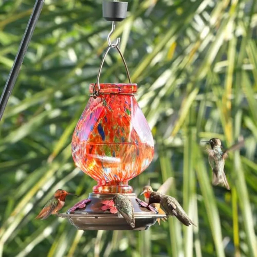Hummingbird Feeder With Ant Moat And Bee Proof Ports