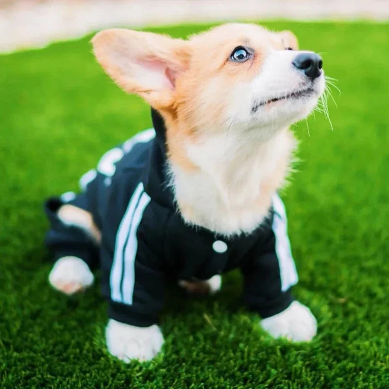 Dog Jumpsuit French Bulldog Chihuahua Pug Pets Clothing