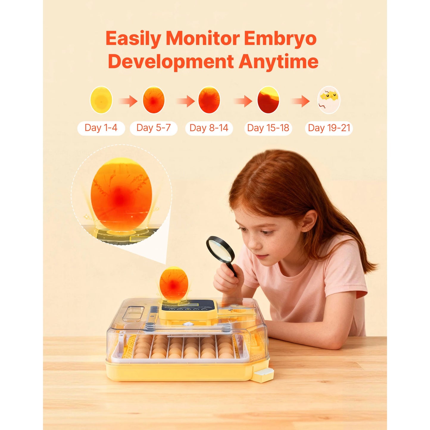 SucceBuy Egg Incubator LED Candler Temperature Display Auto Humidity Control