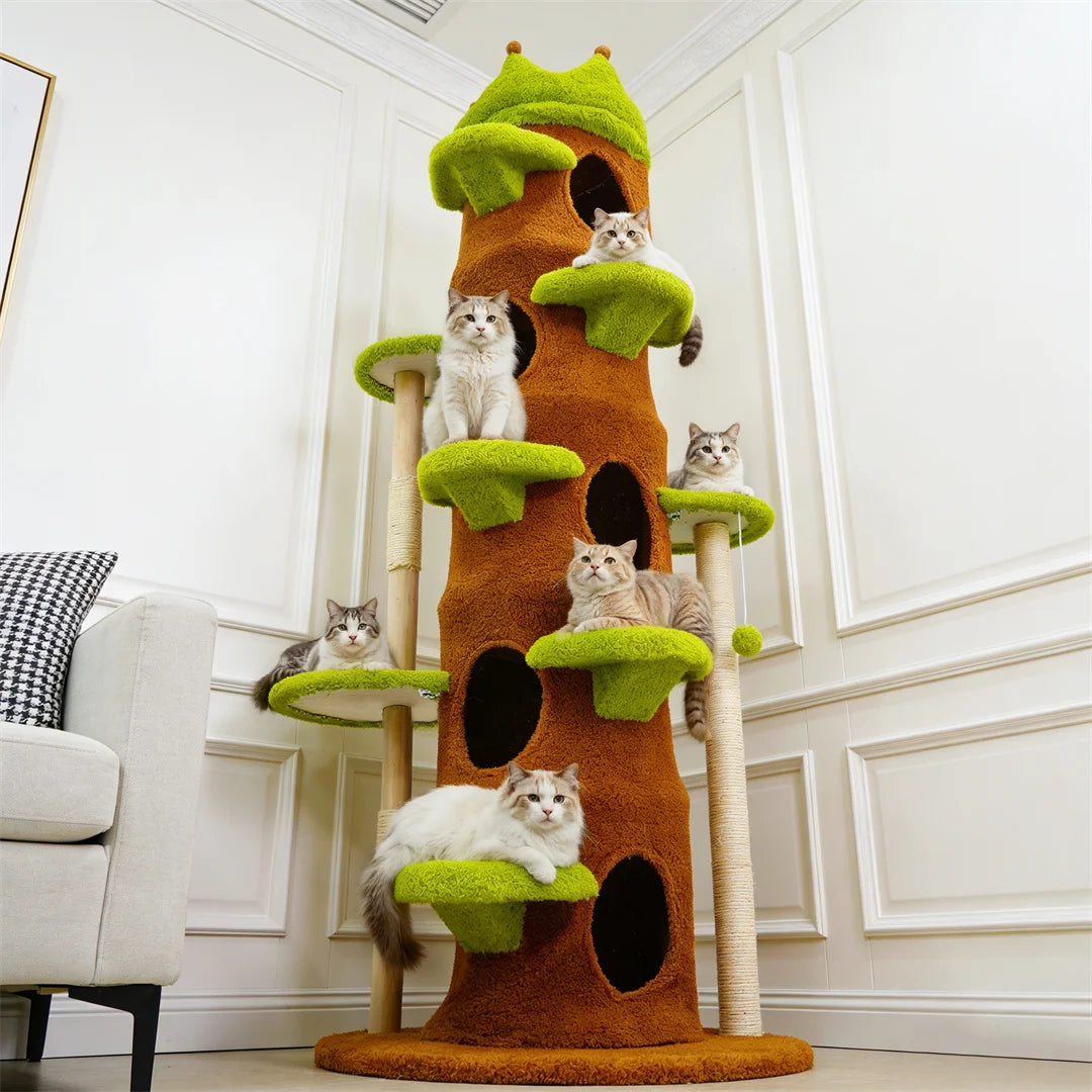 BINGOPAW Multi Level Indoor Cat Tower With Scratching Posts
